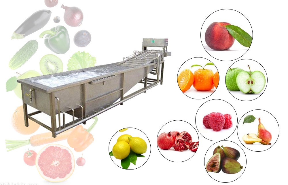 FRUIT AND VEGETABLE WASHING MACHINE FOR SALES