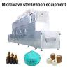 Microwave condiment drug Sterilization Equipment #1 small image
