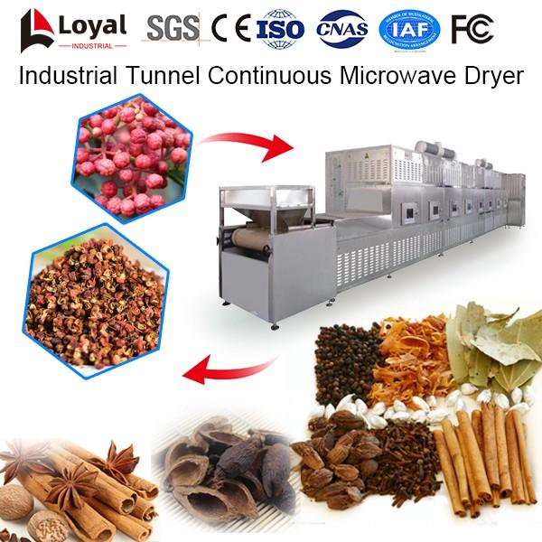 Industrial Tunnel Continuous Microwave Dryer #5 image