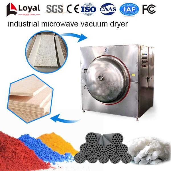 Industrial Microwave Vacuum Dryer #5 image