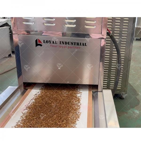 Multi-Functional Conveyor Belt Fly Maggot Microwave Tunnel Dryer #1 image