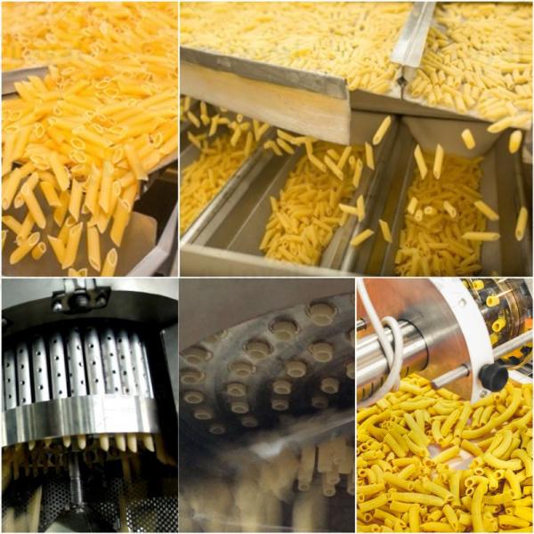 Spaghetti Pasta Production Line #5 image