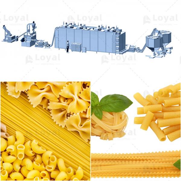 Spaghetti Pasta Production Line #1 image