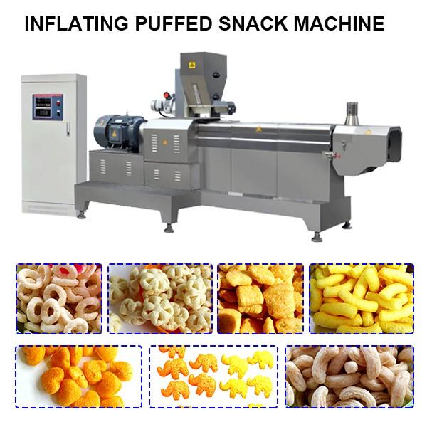 Twin Screw Food Extruder Machine #1 image