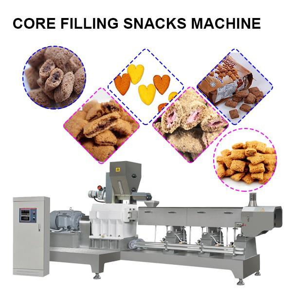 Twin Screw Food Extruder Machine #5 image