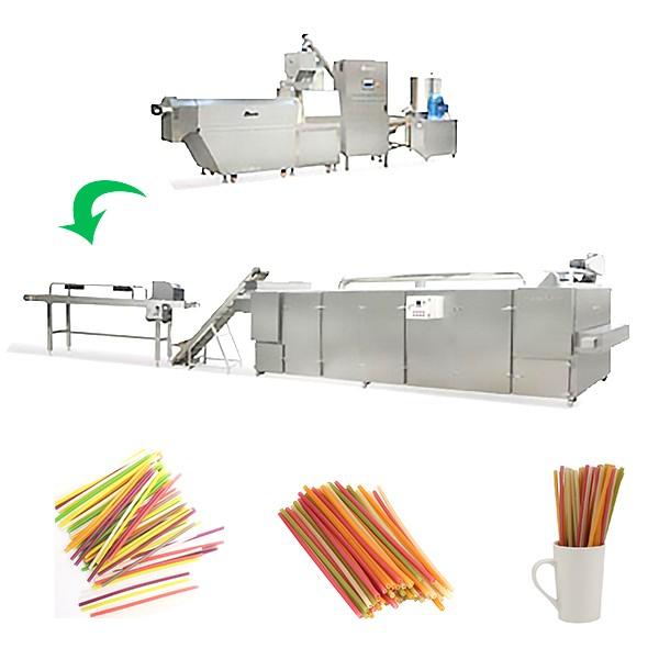 Biodegradable Rice Drinking Straw Processing Line #2 image