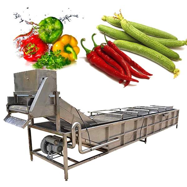 Industrial Fruit and Vegetable Washing Machine #2 image