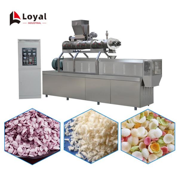 Corn Flakes Crumb Processing Line #2 image