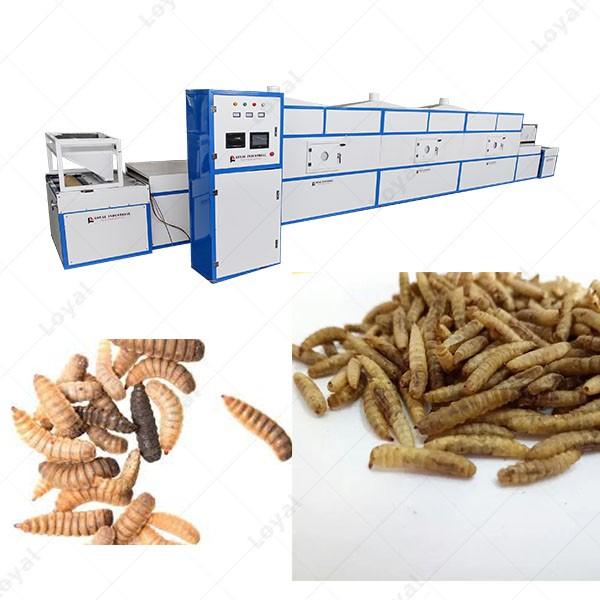 Industrial Microwave Black Soldier Fly Larvae Drying Machine #2 image