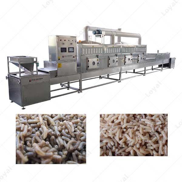 Multi-Functional Conveyor Belt Fly Maggot Microwave Tunnel Dryer #3 image