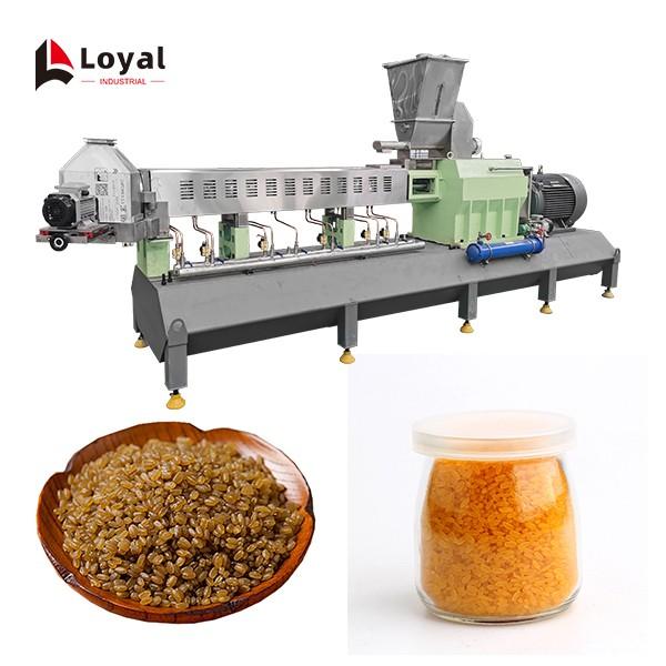 Large Capacity 500kg/h Fortified Rice Kernels (Frk) Extruder Machine #2 image