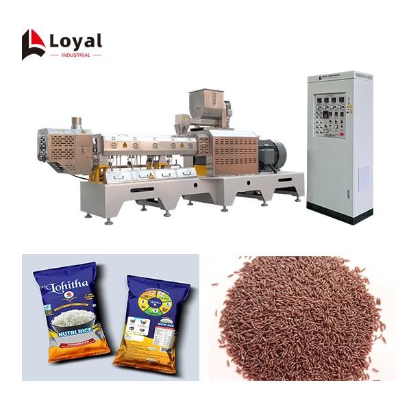 Large Capacity 500kg/h Fortified Rice Kernels (Frk) Extruder Machine #4 image